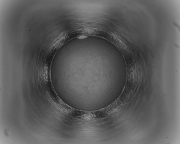 X0000098000696200804141207