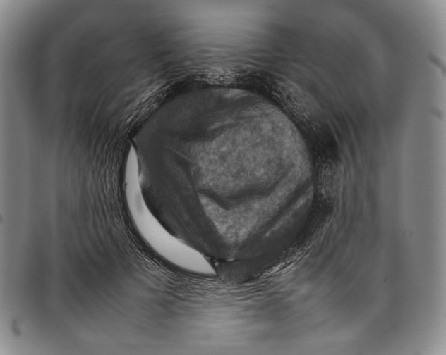 X0000098000697200804141207