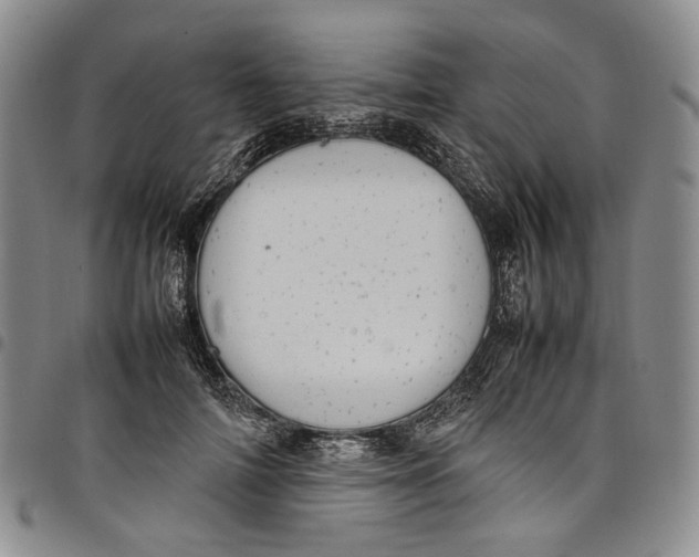 X0000098000698200804141207