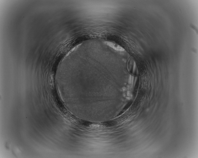 X0000098000699200804141207