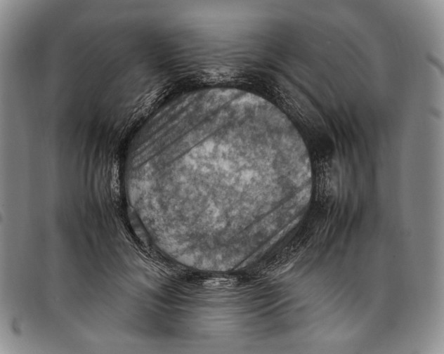 X0000098000700200804141207