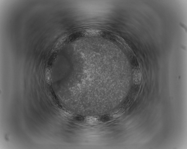 X0000098000701200804141207