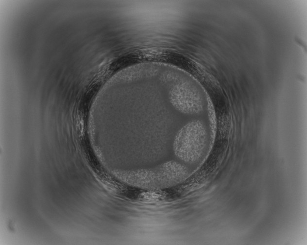 X0000098000703200804141207