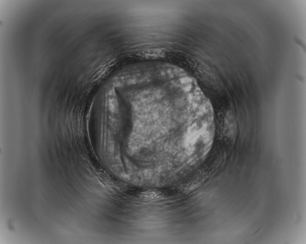 X0000098000704200804141207