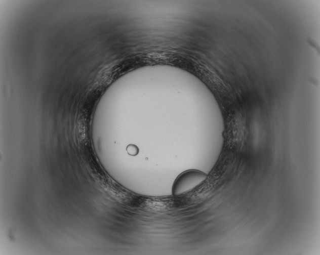 X0000098000706200804141207