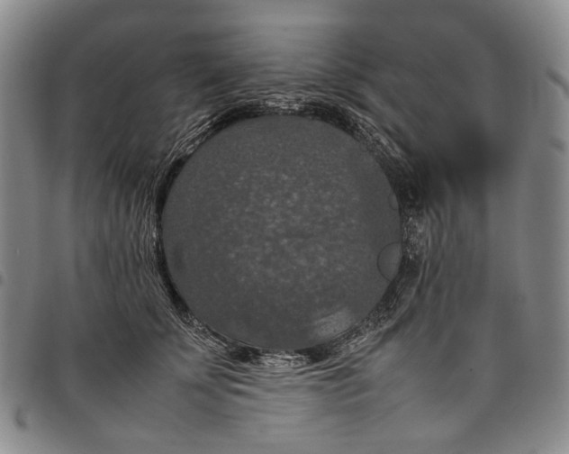 X0000098000707200804141207