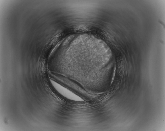 X0000098000708200804141207