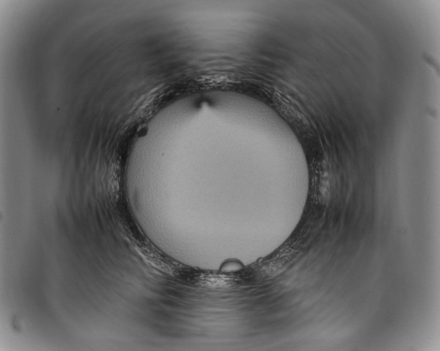 X0000098000710200804141207