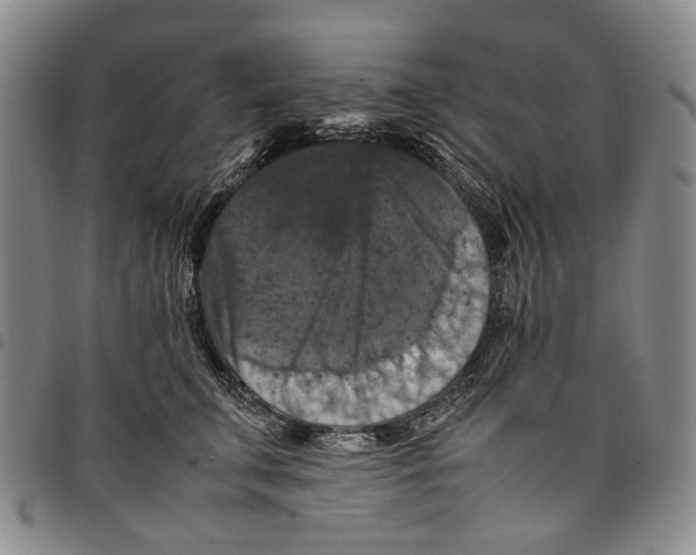 X0000098000711200804141207
