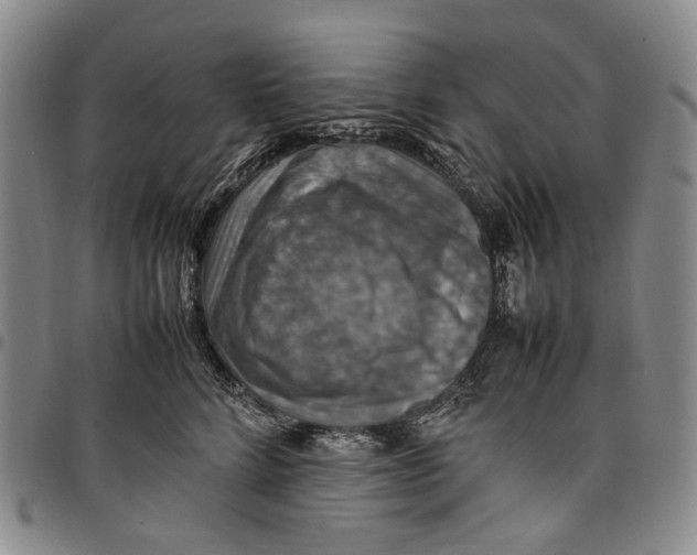 X0000098000712200804141207
