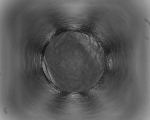 X0000098000716200804141207