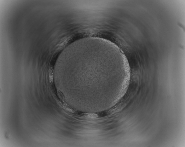 X0000098000719200804141207