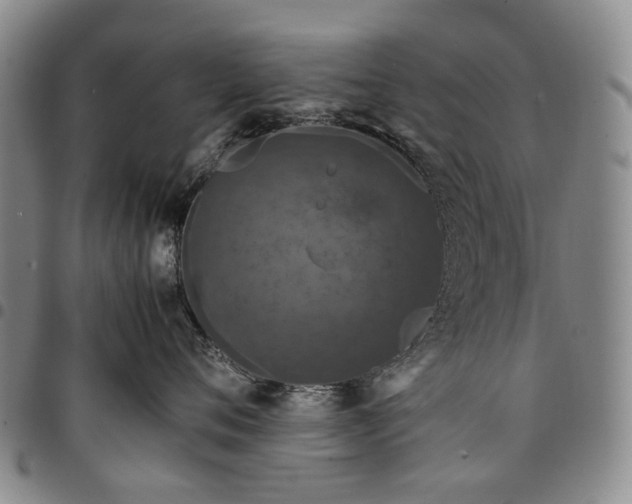 X0000098000720200804141207