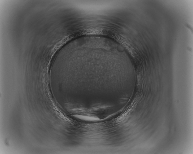 X0000098000721200804141206