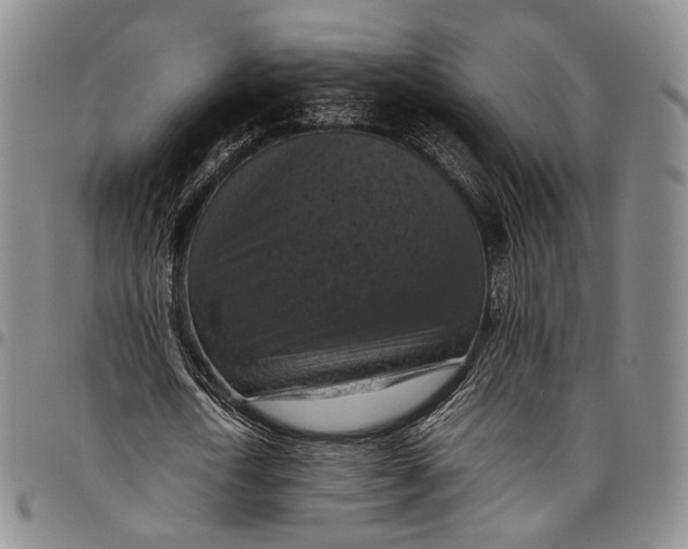 X0000098000722200804141206