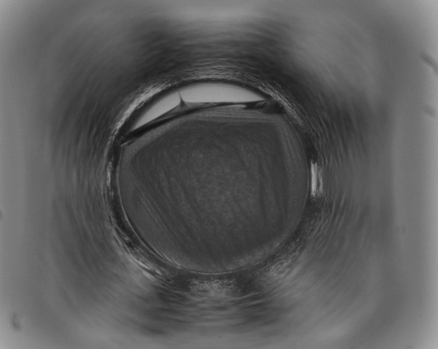 X0000098000723200804141206