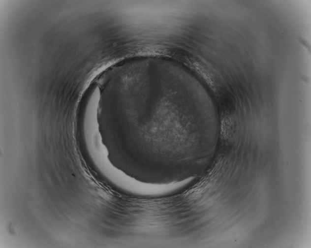 X0000098000724200804141206