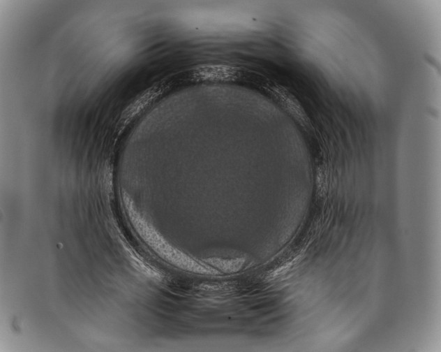 X0000098000725200804141206