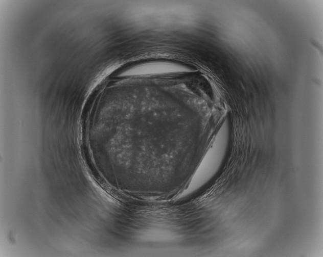 X0000098000726200804141206