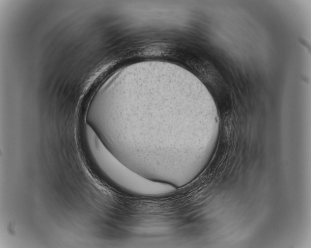 X0000098000728200804141206