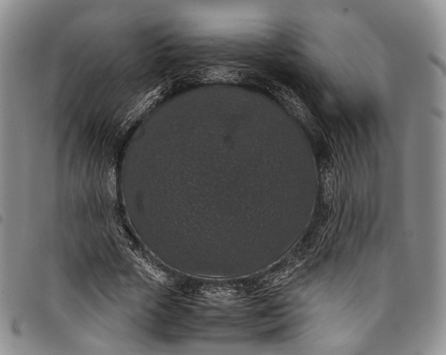 X0000098000729200804141206