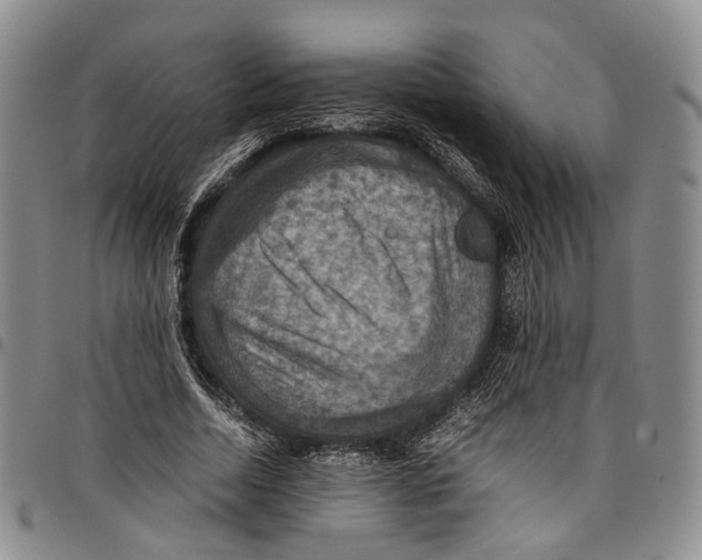 X0000098000730200804141206