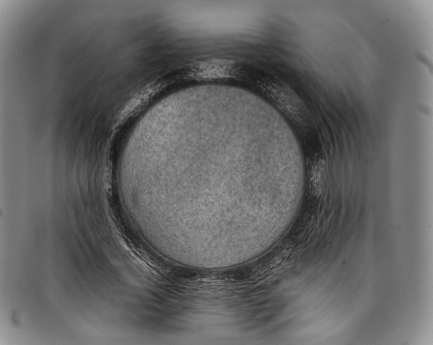 X0000098000732200804141206