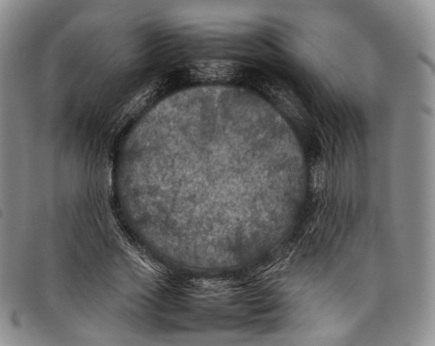 X0000098000733200804141206