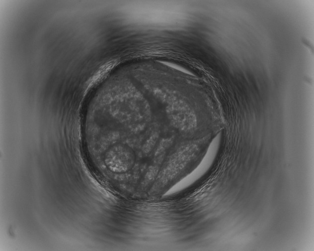 X0000098000734200804141206