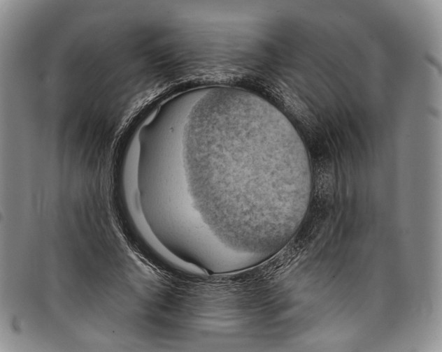 X0000098000736200804141206