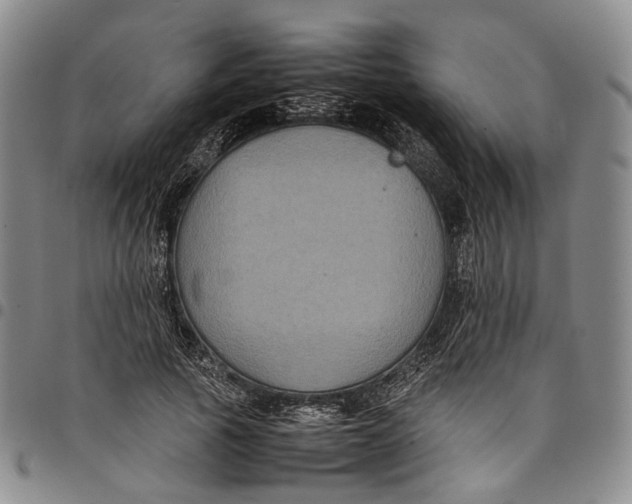 X0000098000737200804141206