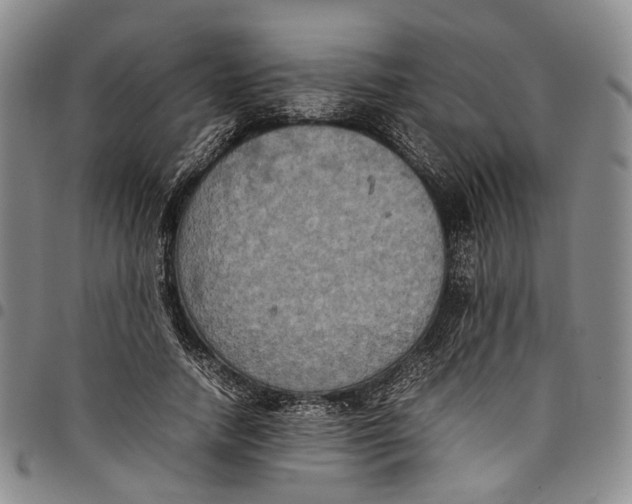 X0000098000738200804141206
