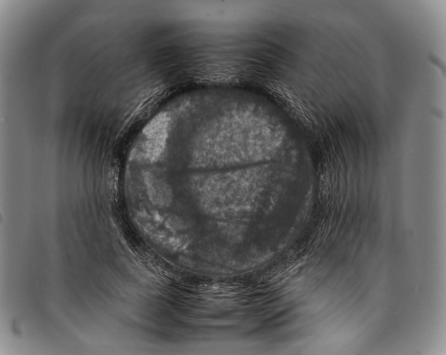 X0000098000739200804141206