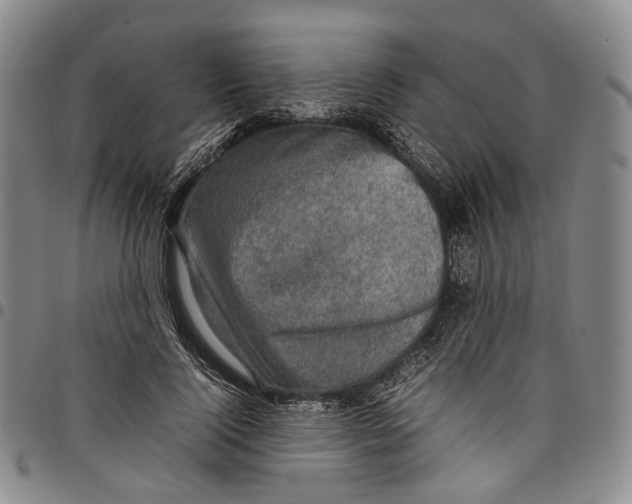 X0000098000740200804141206