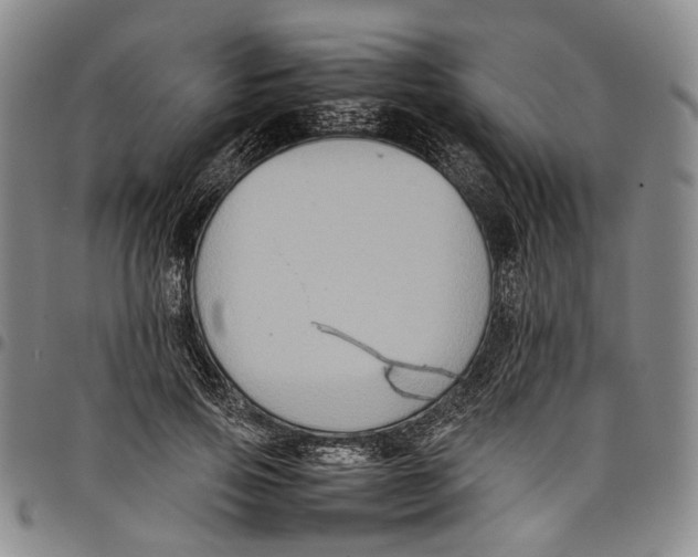 X0000098000741200804141206