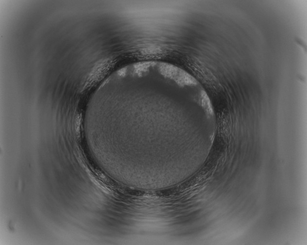 X0000098000742200804141206
