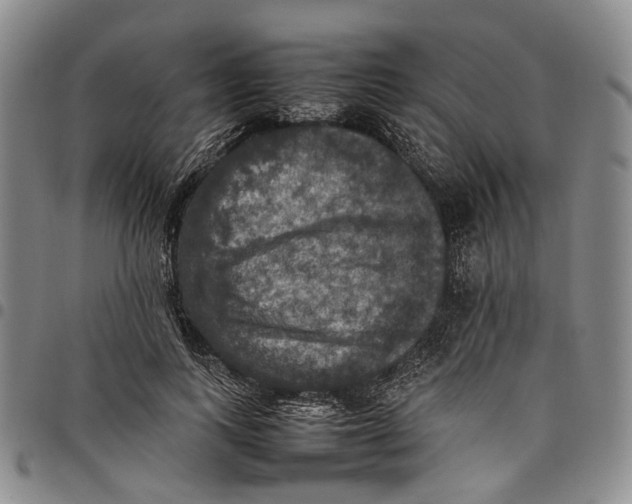 X0000098000743200804141206