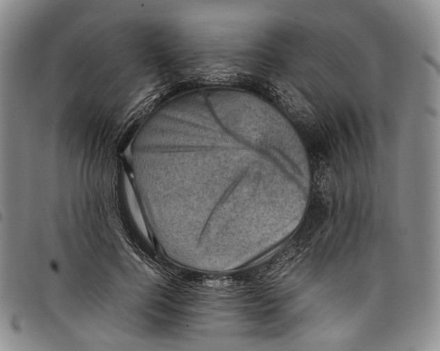 X0000098000744200804141206