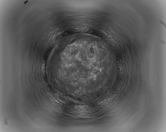 X0000098000745200804141206