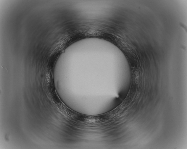 X0000098000746200804141206