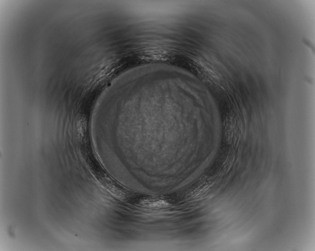 X0000098000747200804141206