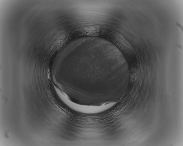 X0000098000748200804141206