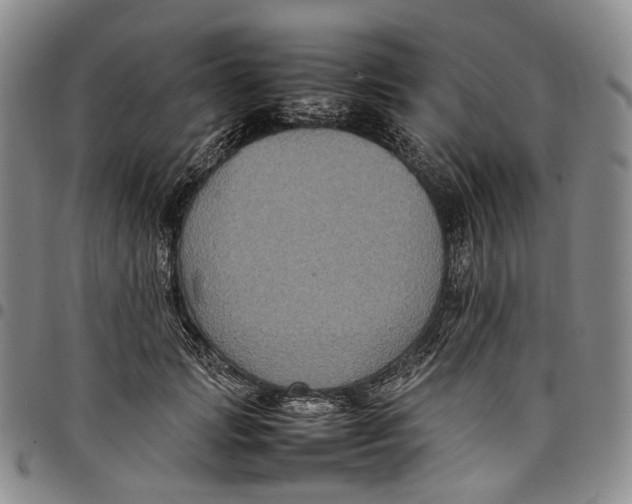 X0000098000749200804141206