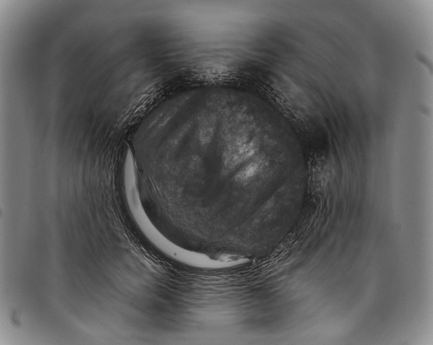 X0000098000750200804141206