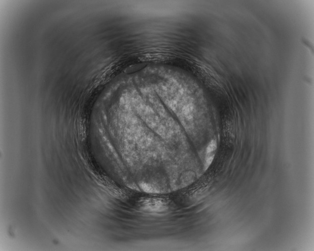 X0000098000751200804141206