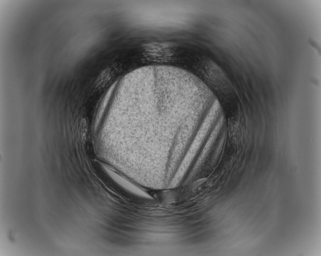 X0000098000752200804141206