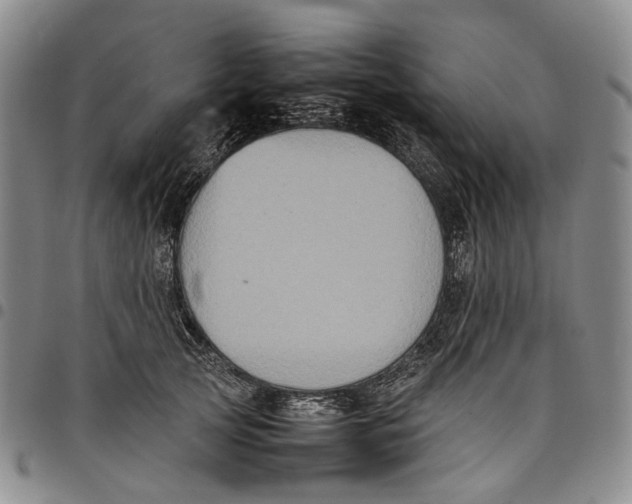 X0000098000753200804141206