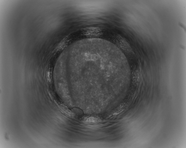 X0000098000755200804141206