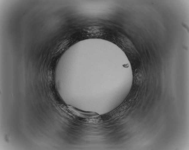 X0000098000756200804141206