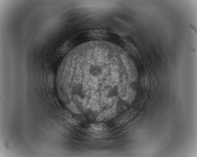 X0000098000757200804141206